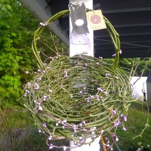 Boyd's Bear green grapevine funnel basket